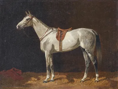 Schimmel In Einem Stall