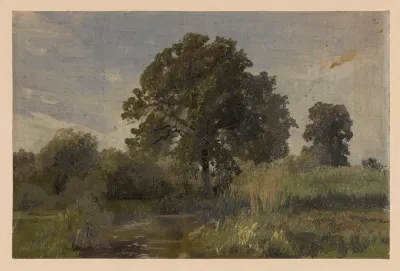 Scrub And Trees By The River Barycz