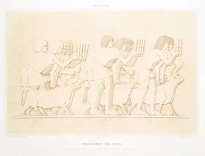 Sculpture Denombrement Des Boeufs Tombeau Dee Chamhati Intendent Des Domaines Xviiie