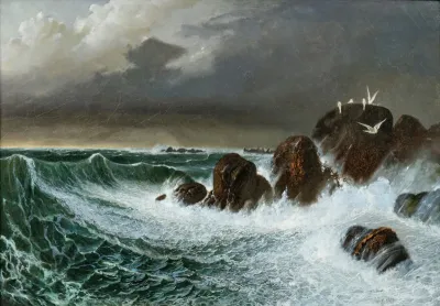 Seagulls In The Storm