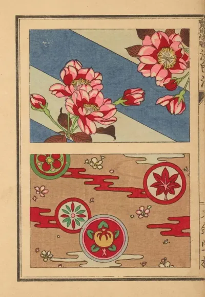 Senshokuho Shinhatsumei Jitchi Keiken Pl 03