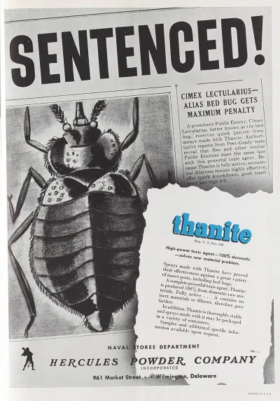 Sentenced