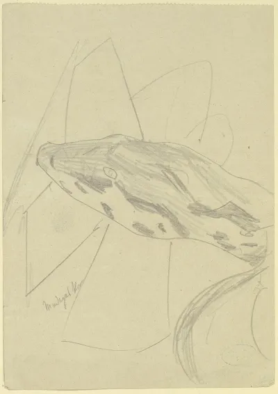 Serpents Head