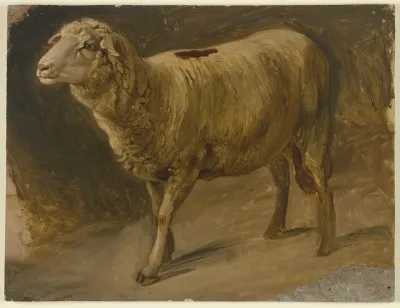 Sheep 9