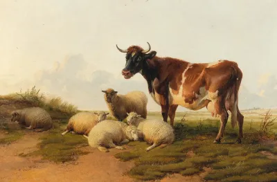 Sheep And Cows In The Meadow