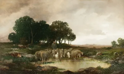 Sheep In Rainy Landscape