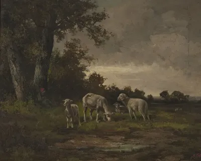 Sheep In The Meadow At The Forest Edge
