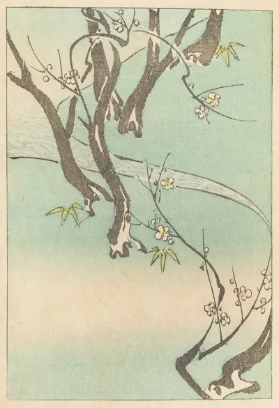 Shin Zuan Pl 06