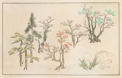 Shinsen Moyo No Shiori Pl 19
