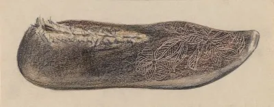 Shoe 12