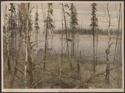 Siberian Taiga