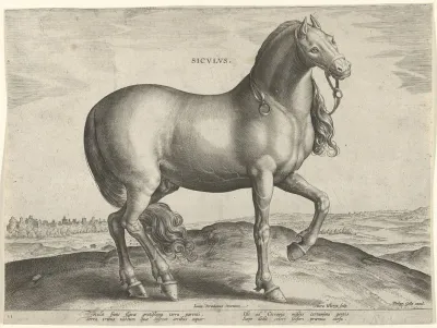 Siculus