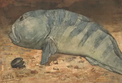 Side View Of A Fish