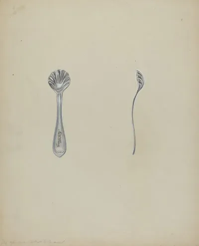 Silver Salt Spoon