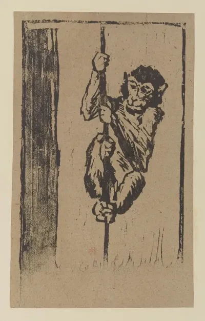 Singe Grimpant A La Corde