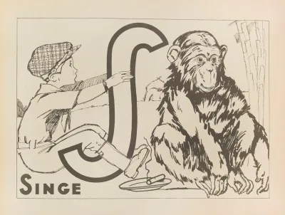 Singe
