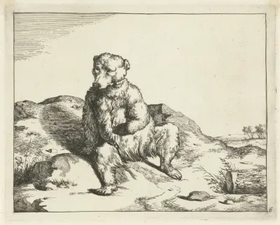 Sitting Bear Seen From The Front