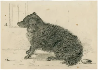 Sitting Dog 2