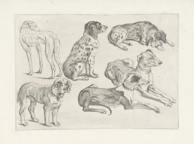 Six Hunting Dogs