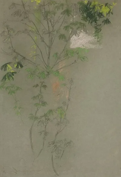 Sketch Of Leafing Tree Branches