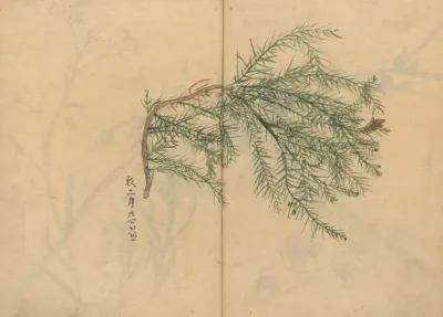 Sketchbook Pl 003
