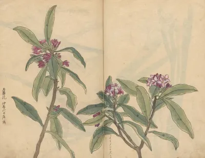Sketchbook Pl 022