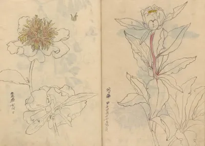 Sketchbook Pl 040