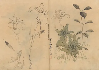 Sketchbook Pl 055