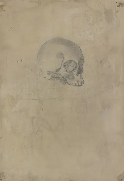 Skull 6