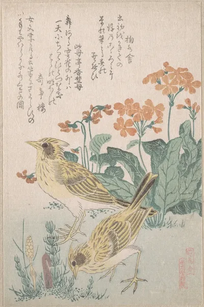 Skylarks And Primroses