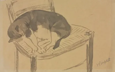 Sleeping Cat 2