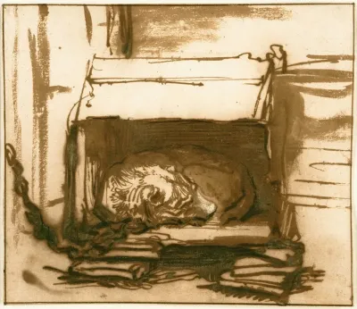 Sleeping Watchdog