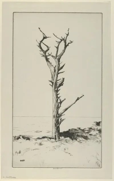 Solitude 5