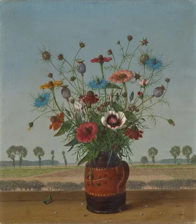 Sommerblumen Am Niederrhein