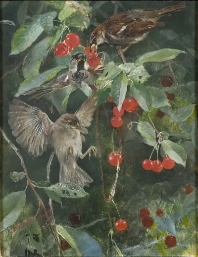 Sparrows In A Cherry Tree