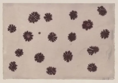 Sprenkelpapier 2