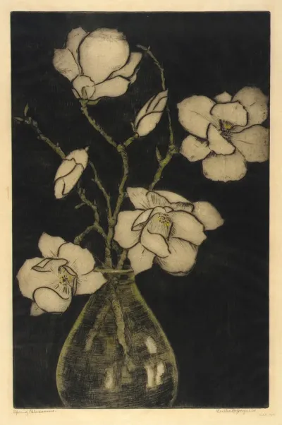 Spring Blossoms Tree Magnolia