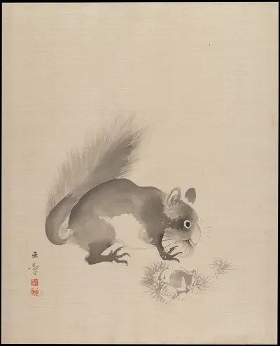 Squirrel Eating Chestnuts
