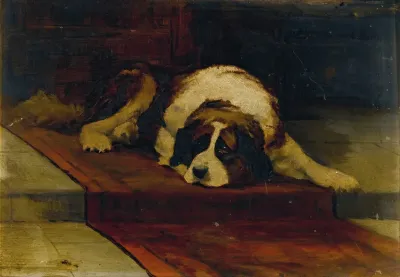 St Bernard Lying On A Runner