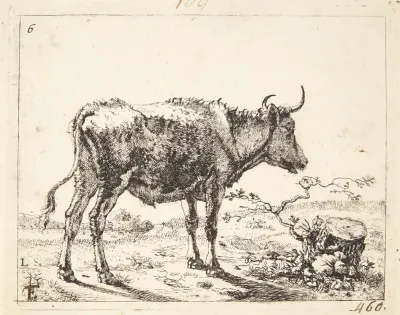 Staende Stud Vendt Mod Hojre