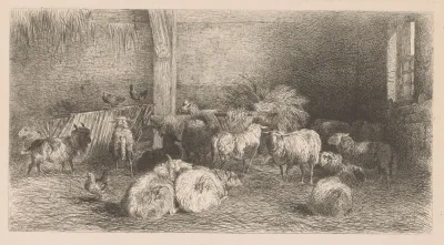 Stalinterieur Met Schapen Geiten En Kippen
