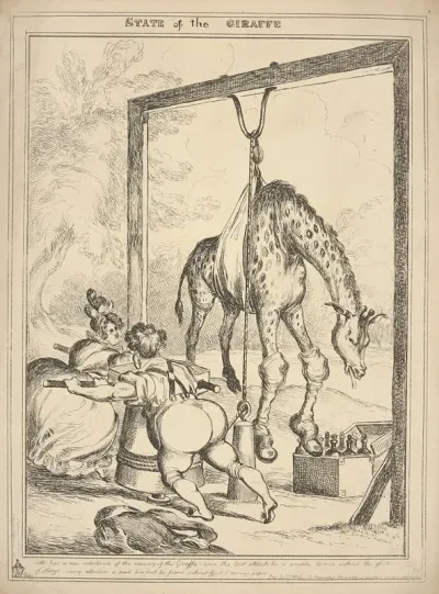 State Of The Giraffe