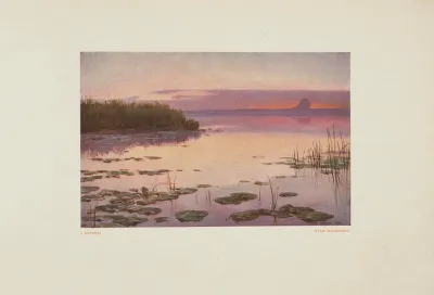 Staw Wieczorem