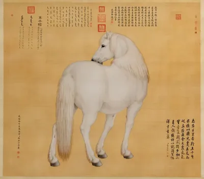 Steed