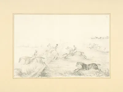 Steeplechase Race