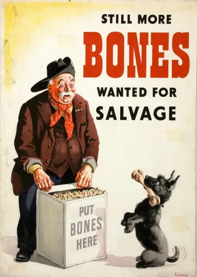 Still More Bones Wanted For Salvage