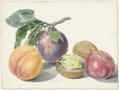 Stilleven Met Vruchten 2