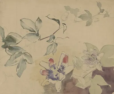 Studieblad Met Passiebloemen