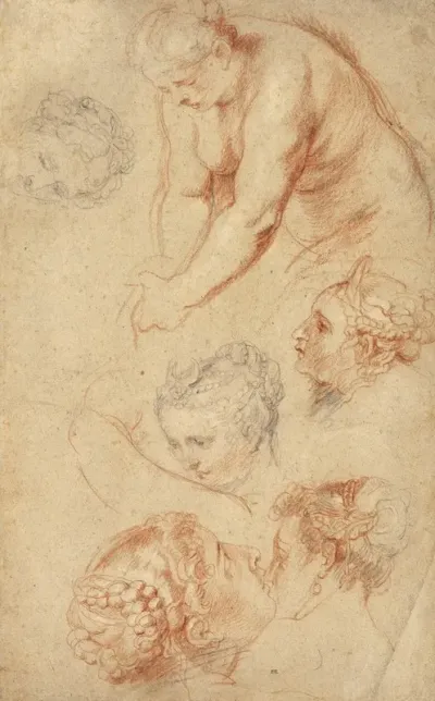 Studies Of Women