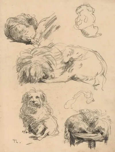 Studies Van Een Hondje